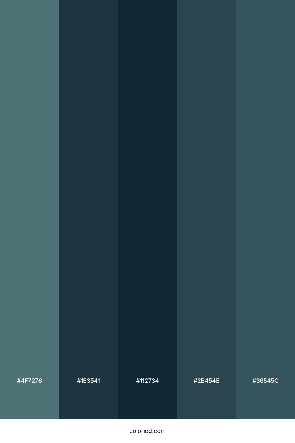 Stormy Coastal Tide Color Palette