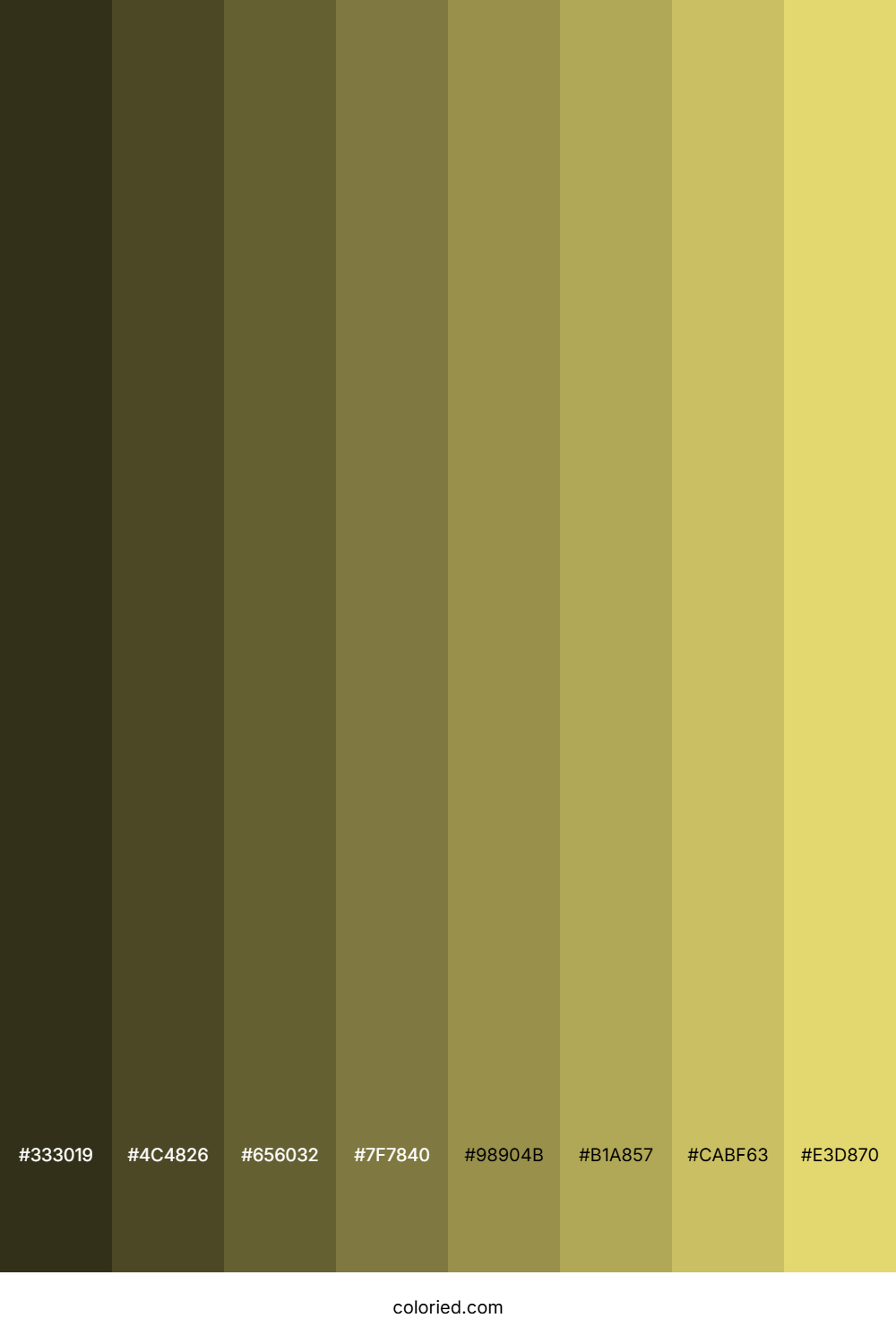 Straw Color Shades