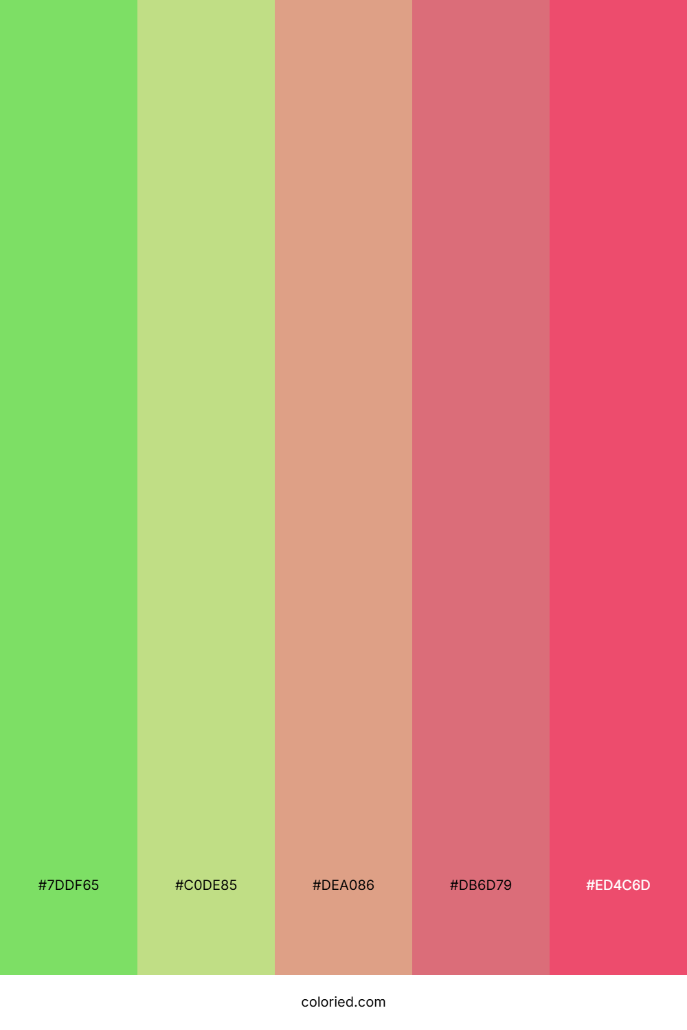 Strawberry Mint Palette