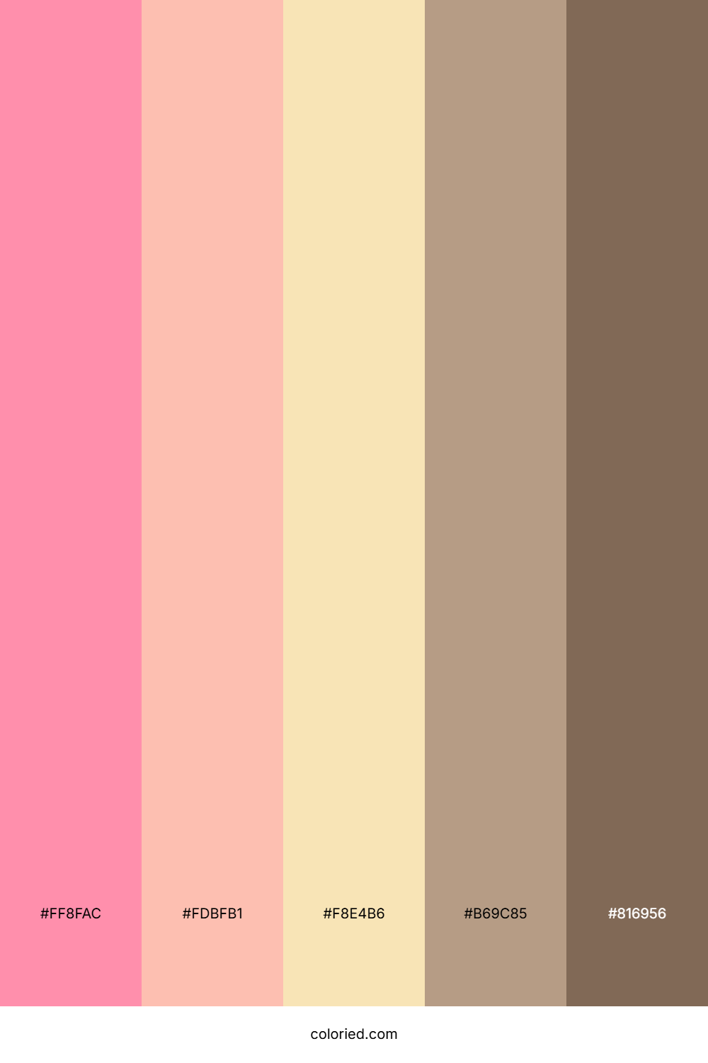 Strawberry Pink and Chocolate Color Palette