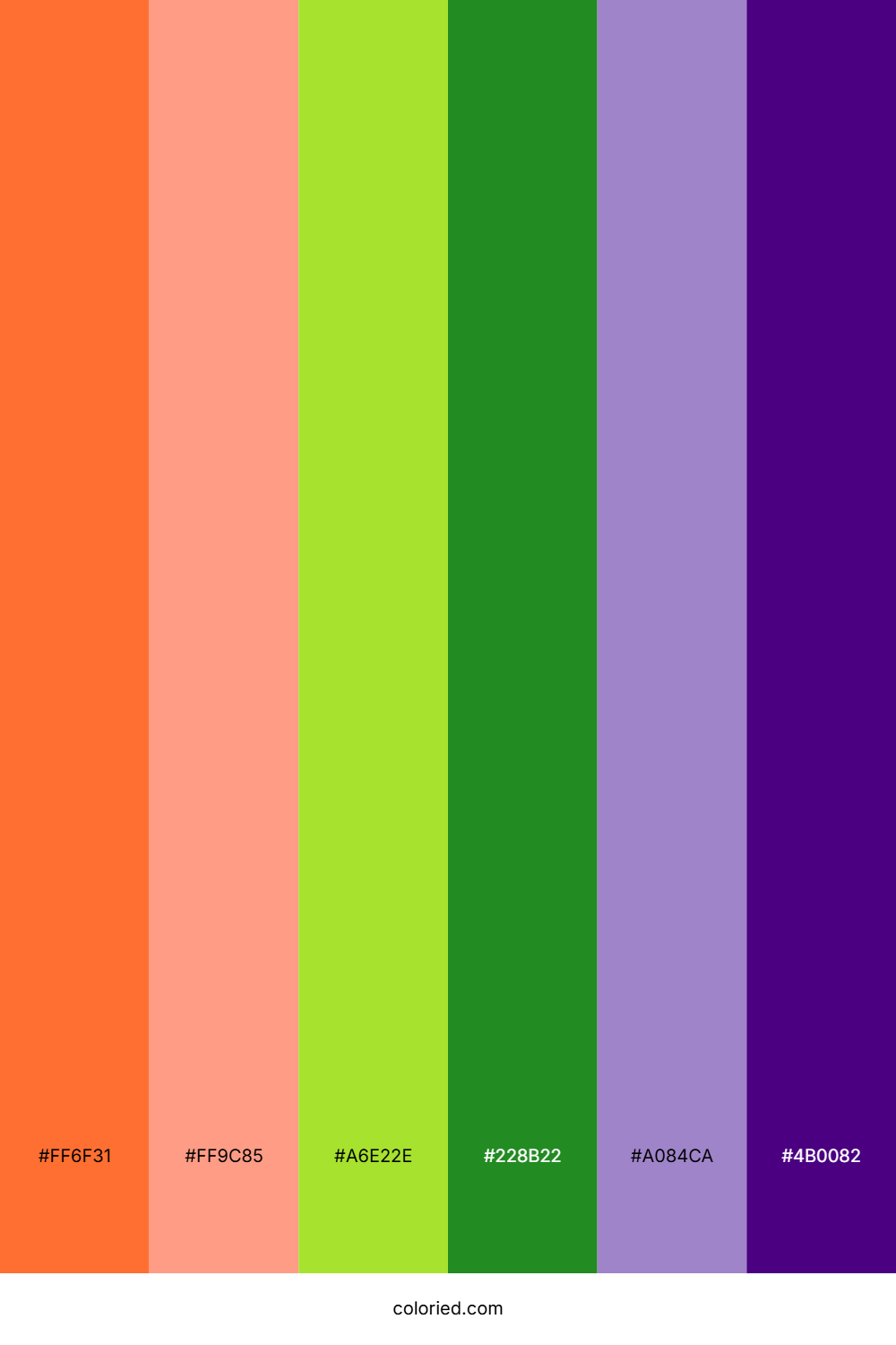 Sun Kissed Indigo Palette