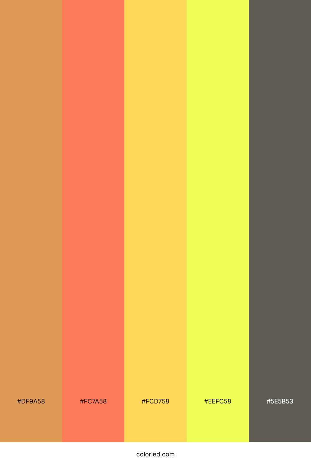 Sunburst Citrus Punch Palette