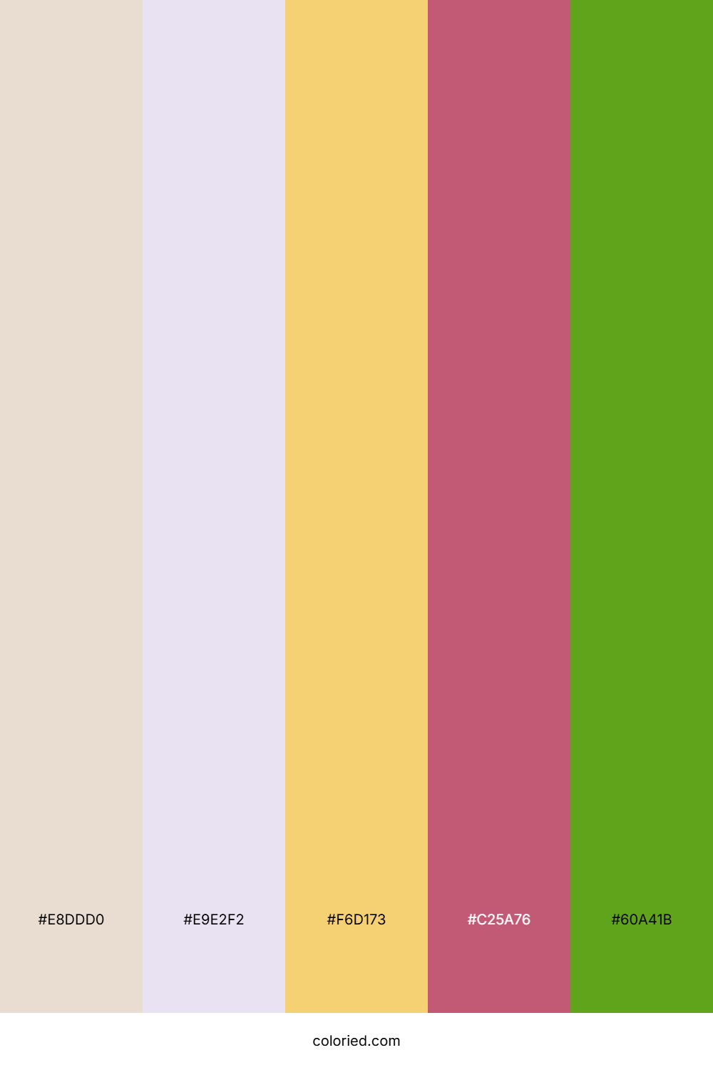 Sunlit Citrus Bloom Color Palette