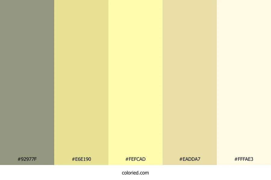 Sunlit Desert Sand Color Palette