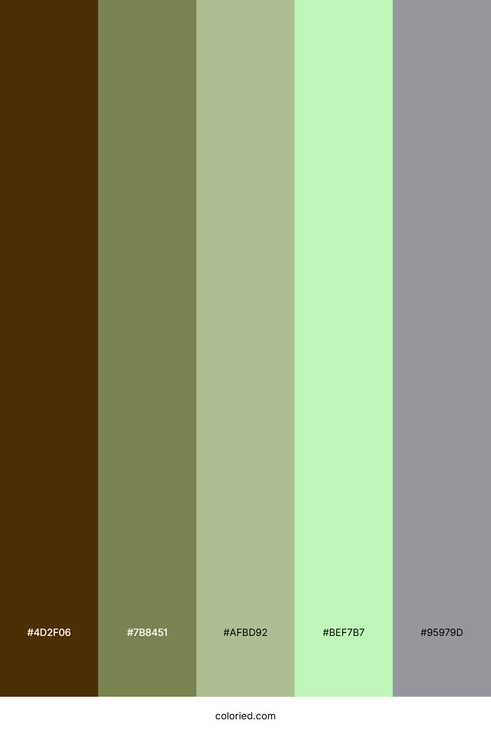 Sunlit Fern Grove Palette