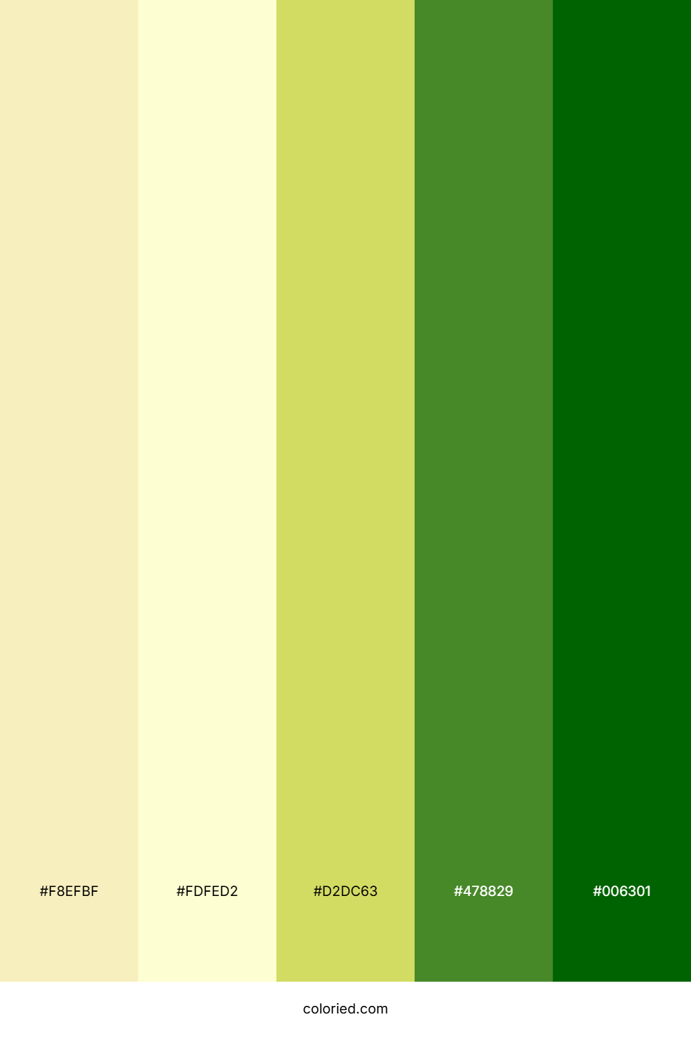 Sunlit Forest Canopy Color Palette