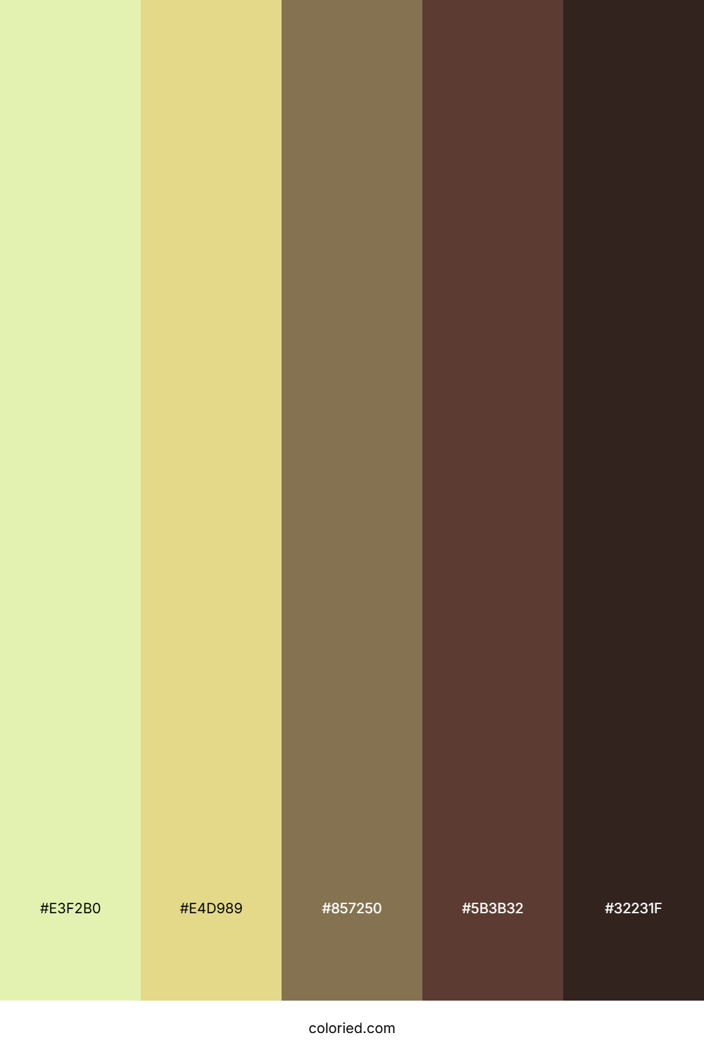 Sunlit Grove Forest Color Palette
