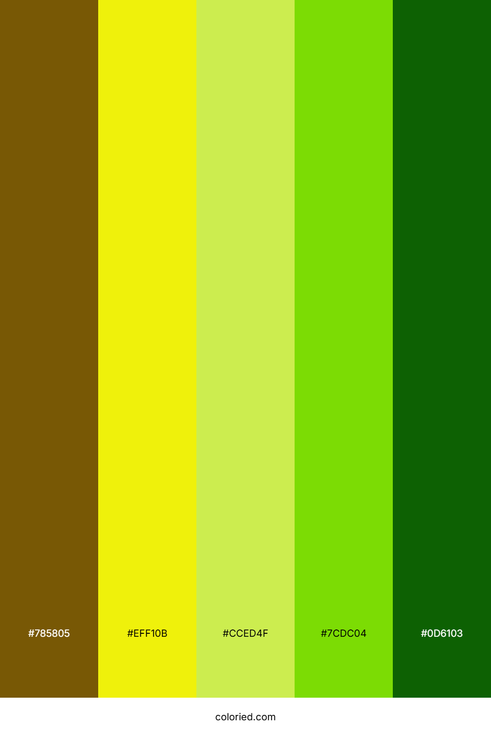 Sunlit Lime Forest Color Palette