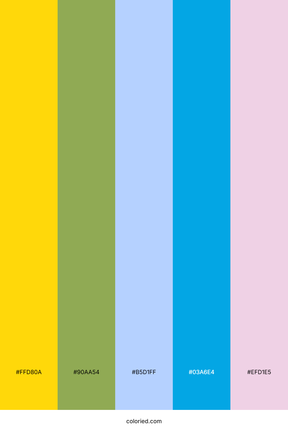 Sunlit Meadow Sky Color Palette