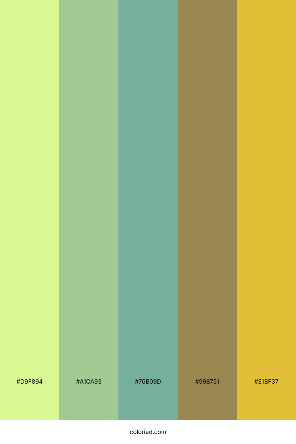 Sunlit Meadow Trail Color Palette