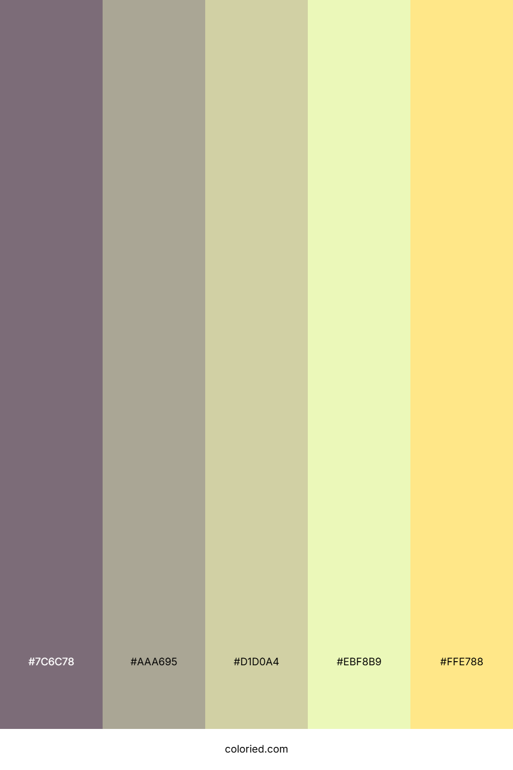 Sunlit Meadow Walk Color Palette