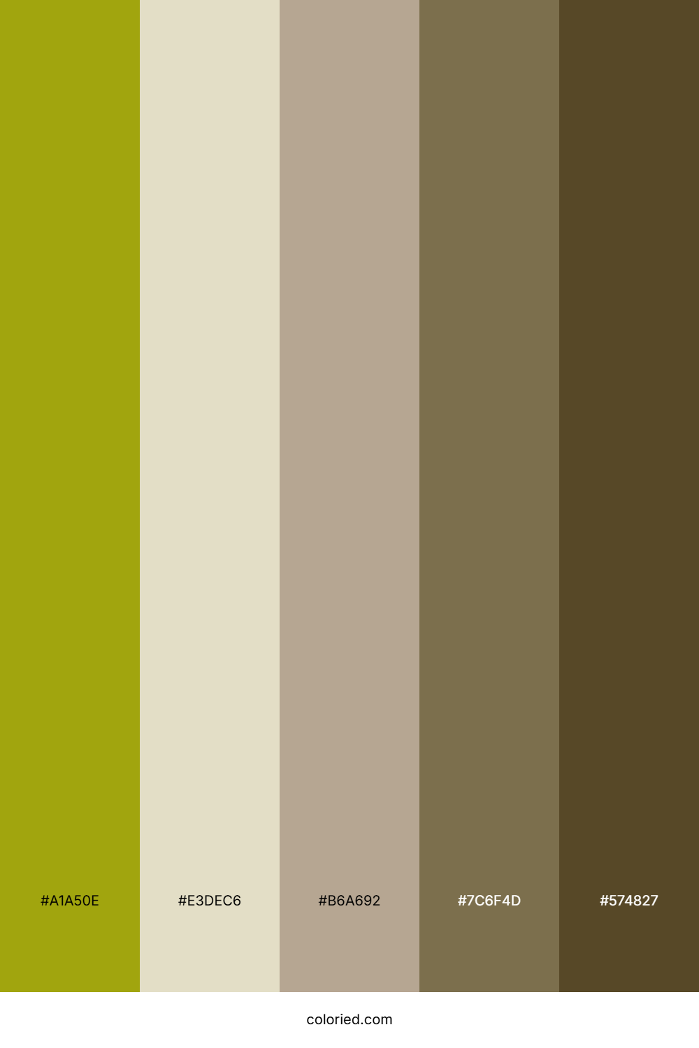 Sunlit Olive Field Color Palette