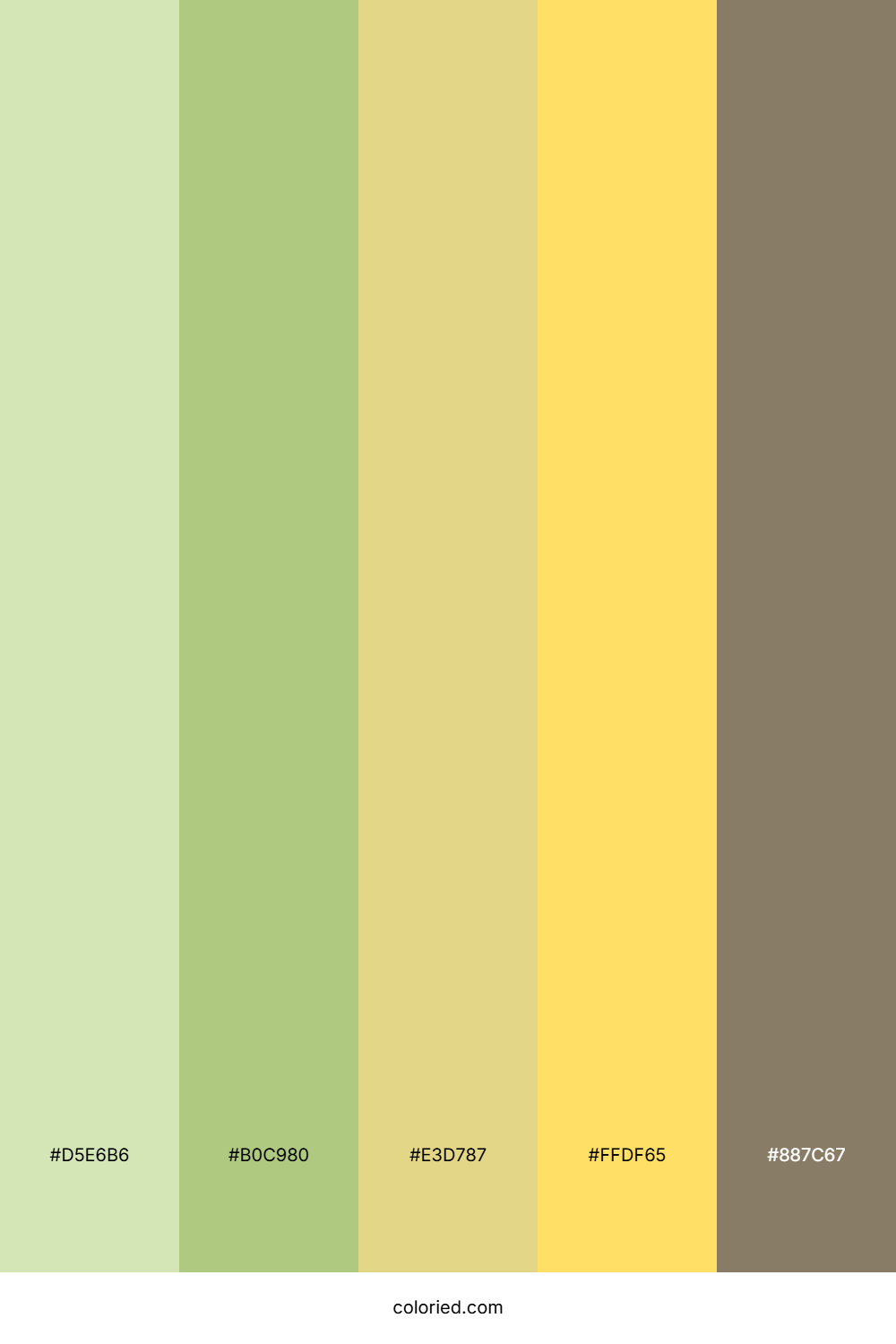 Sunlit Olive Grove Color Palette