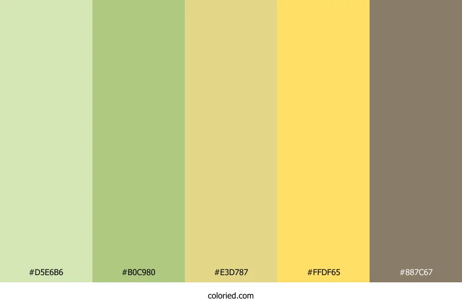 Sunlit Olive Grove Color Palette