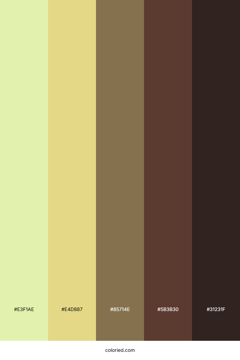 Sunlit Prairie Path Palette