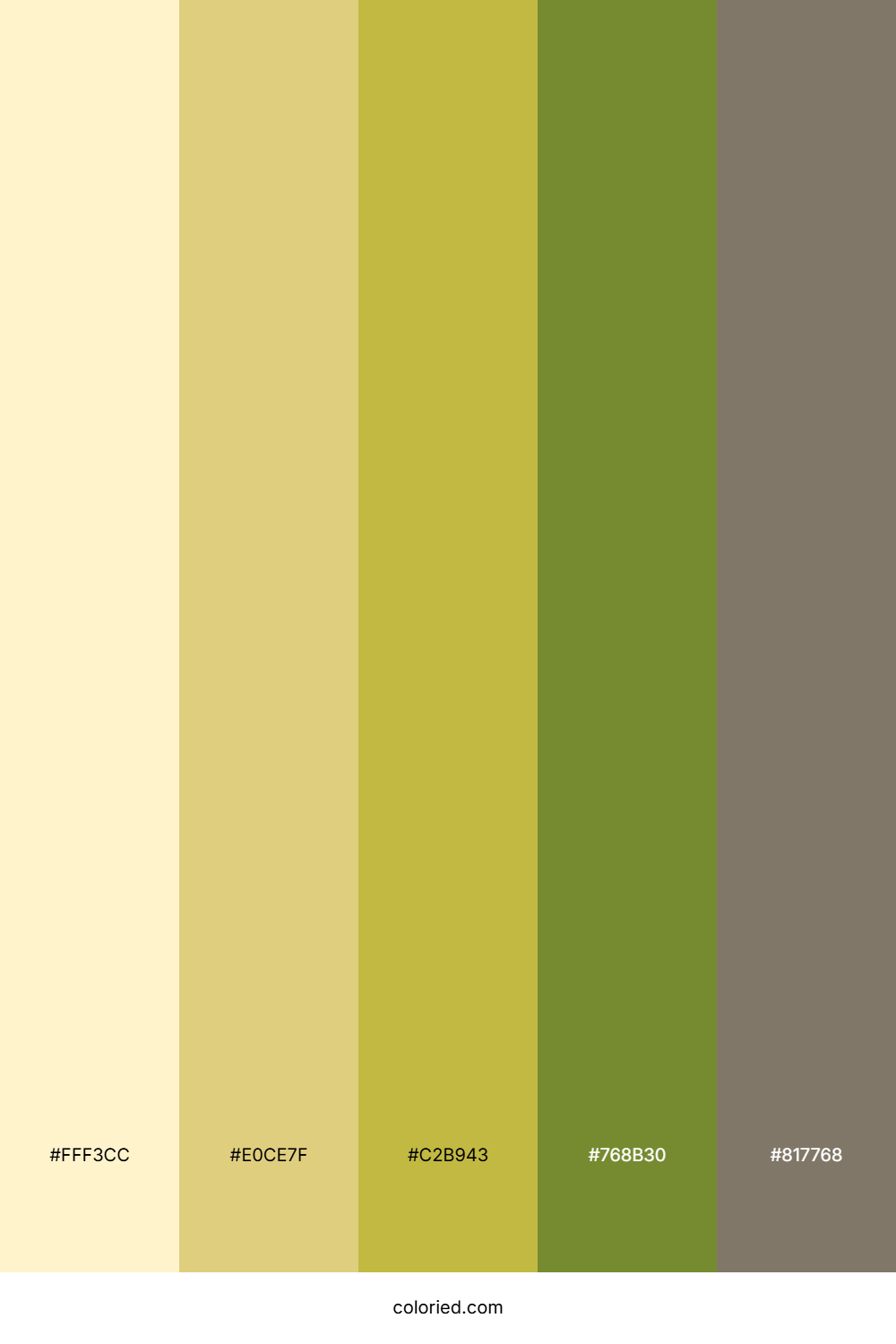 Sunlit Sage Field Palette