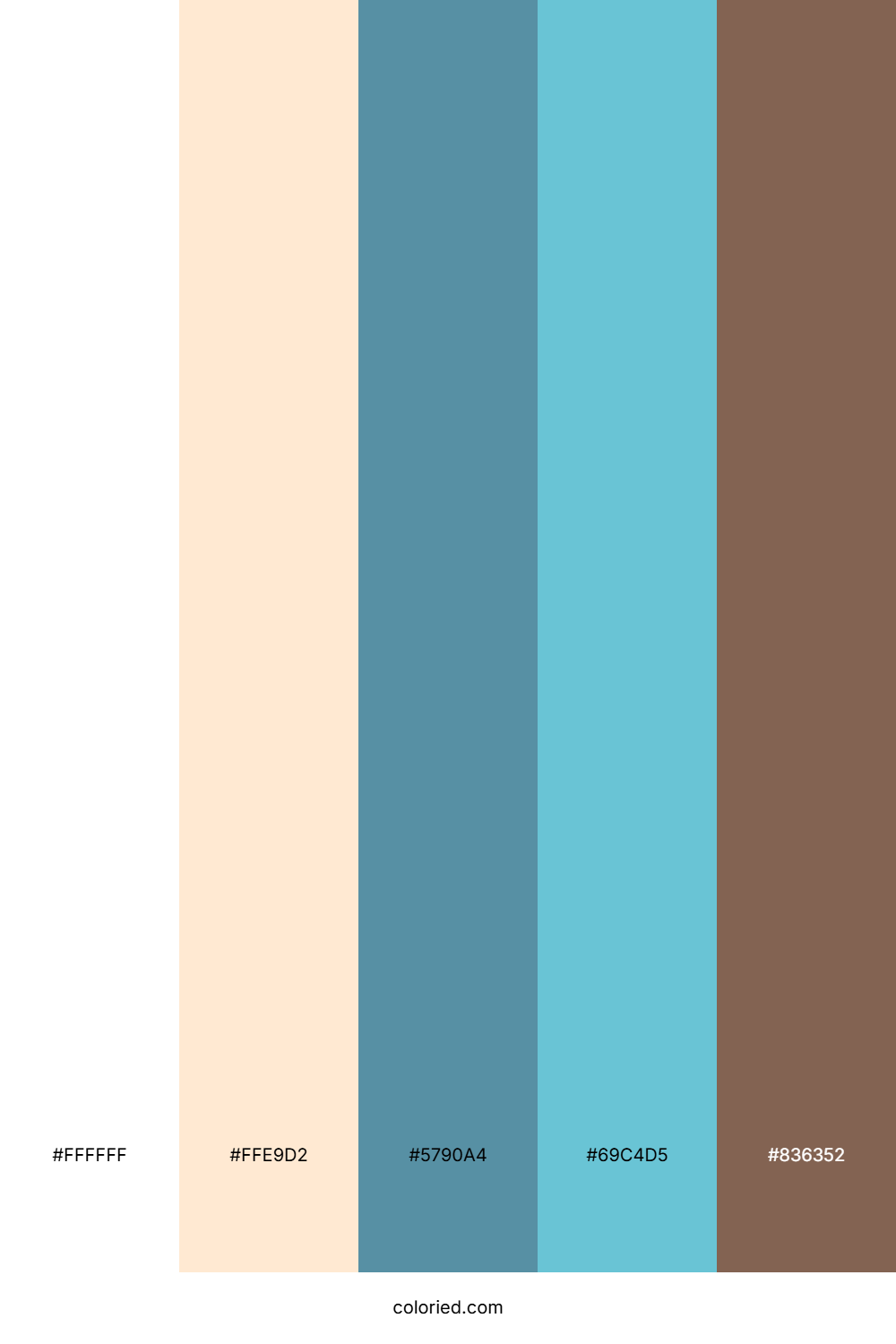 Sunlit Seashell Shore Color Palette
