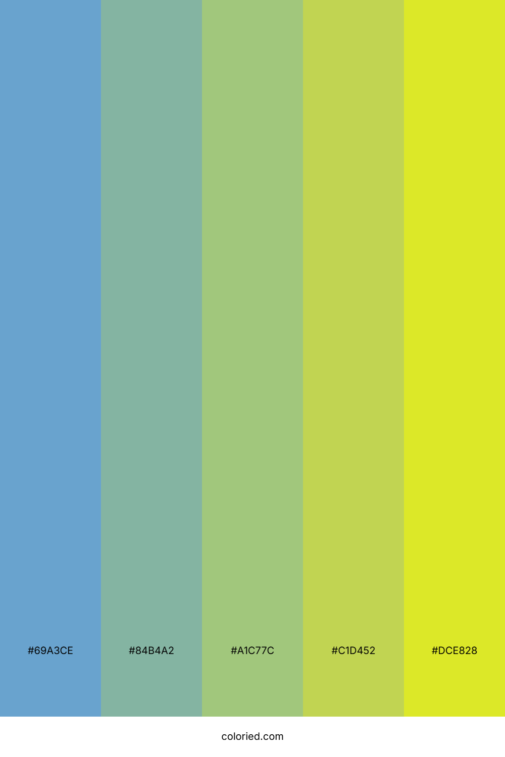 Sunny Meadow Fresh Color Palette