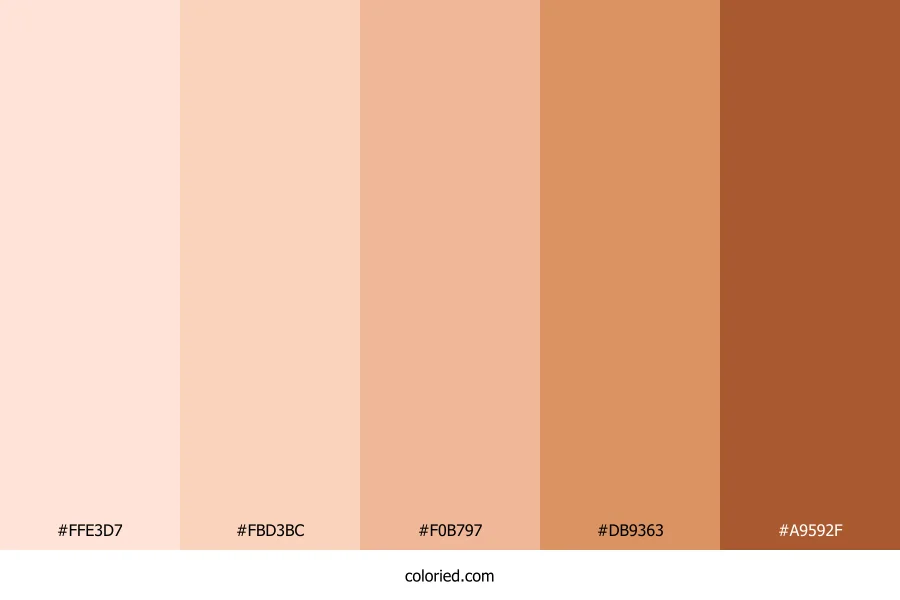 Sunset Apricot Bronze Color Palette
