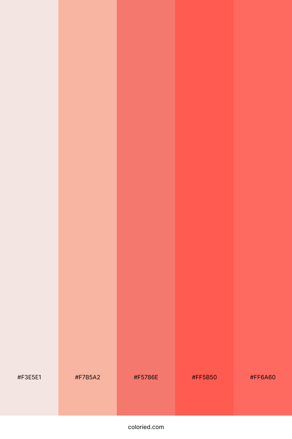 Sunset Blush and Coral Color Palette