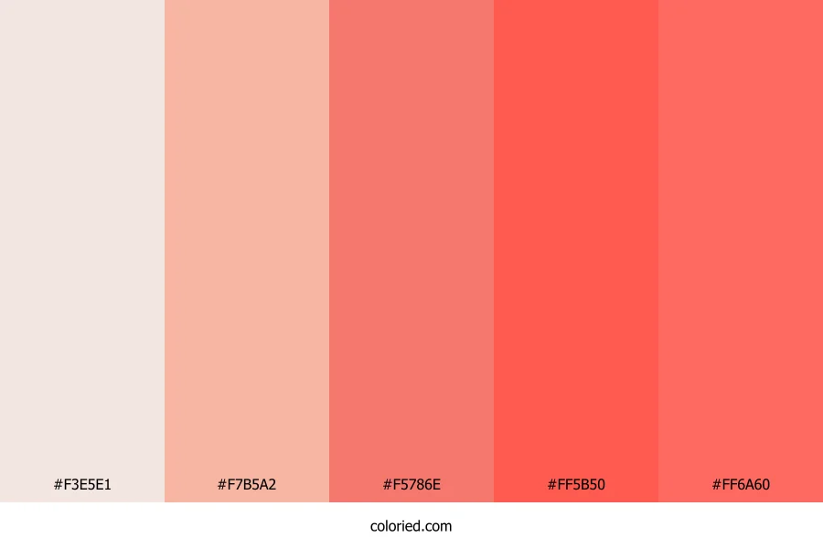 Sunset Blush and Coral Color Palette