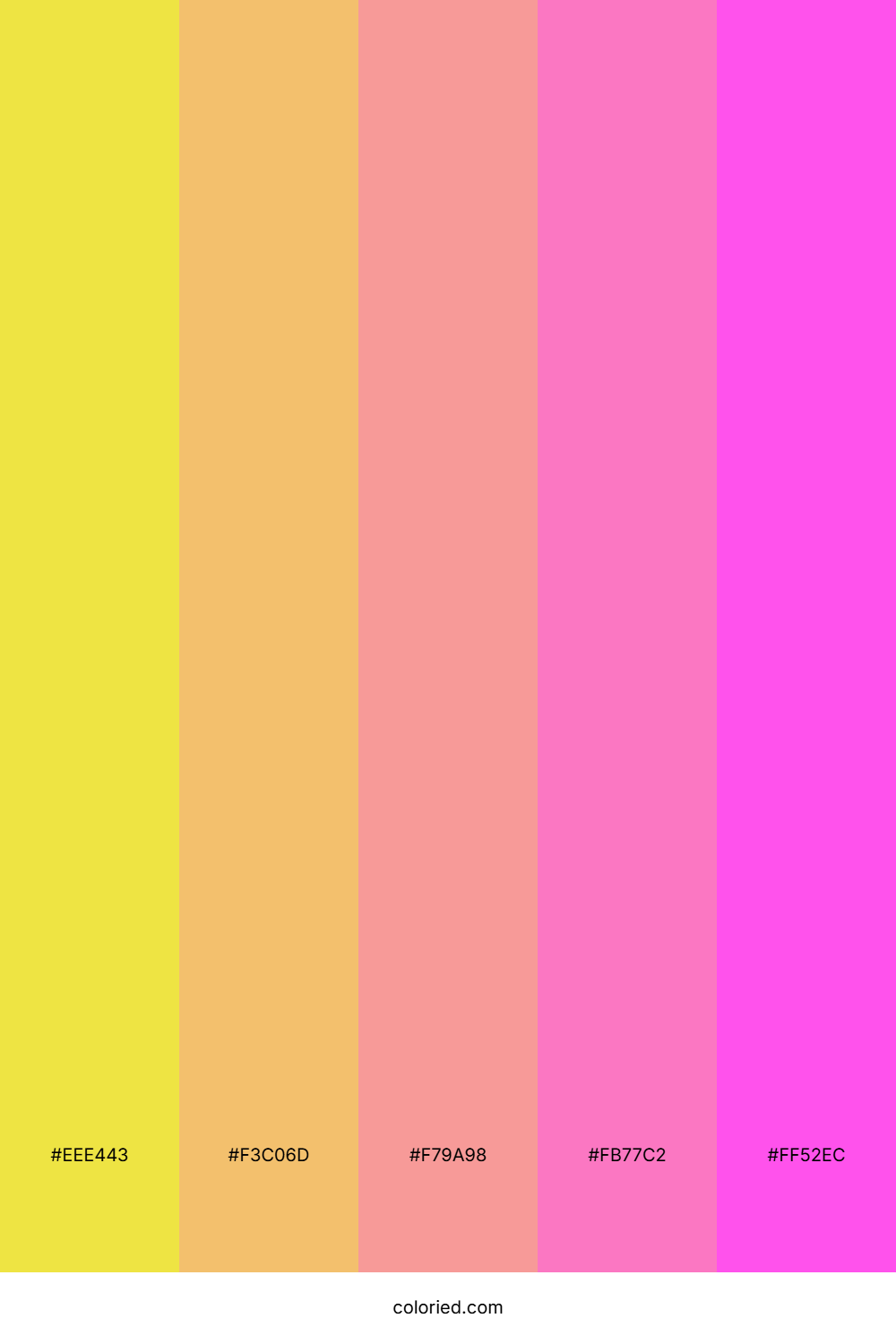 Sunset Candy Bloom Color Palette
