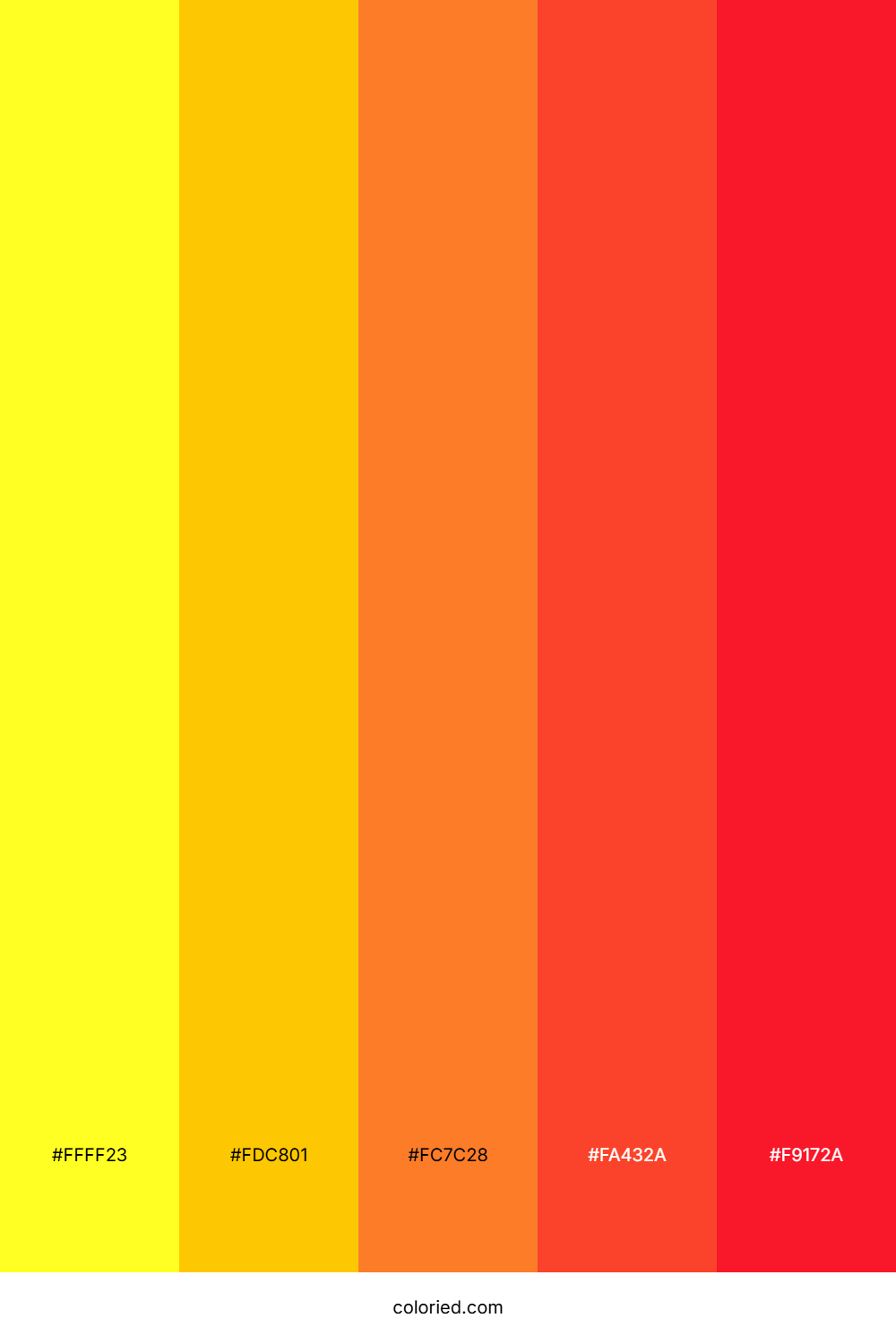 Sunset Citrus Burst Color Palette