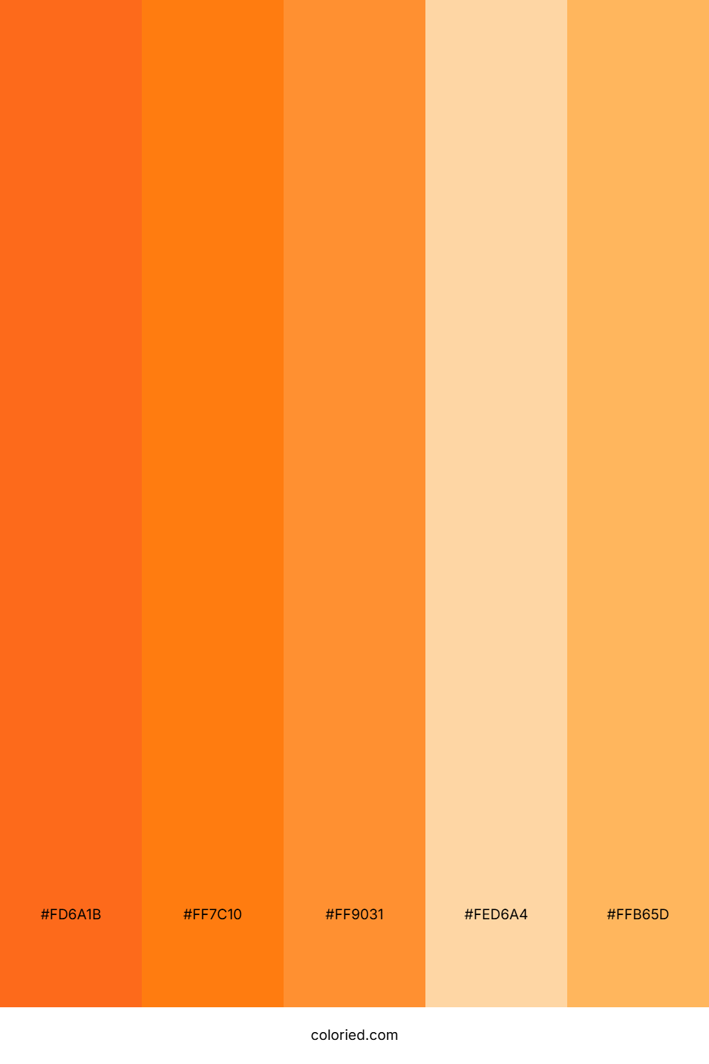 Sunset Citrus Color Palette