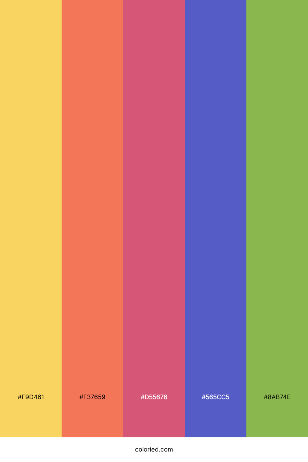 Sunset Citrus Wave Color Palette