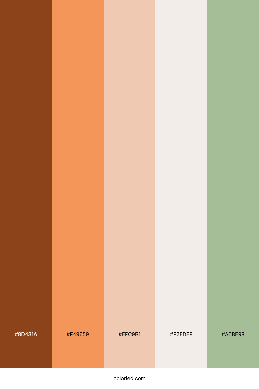 Sunset Clay Meadow Palette