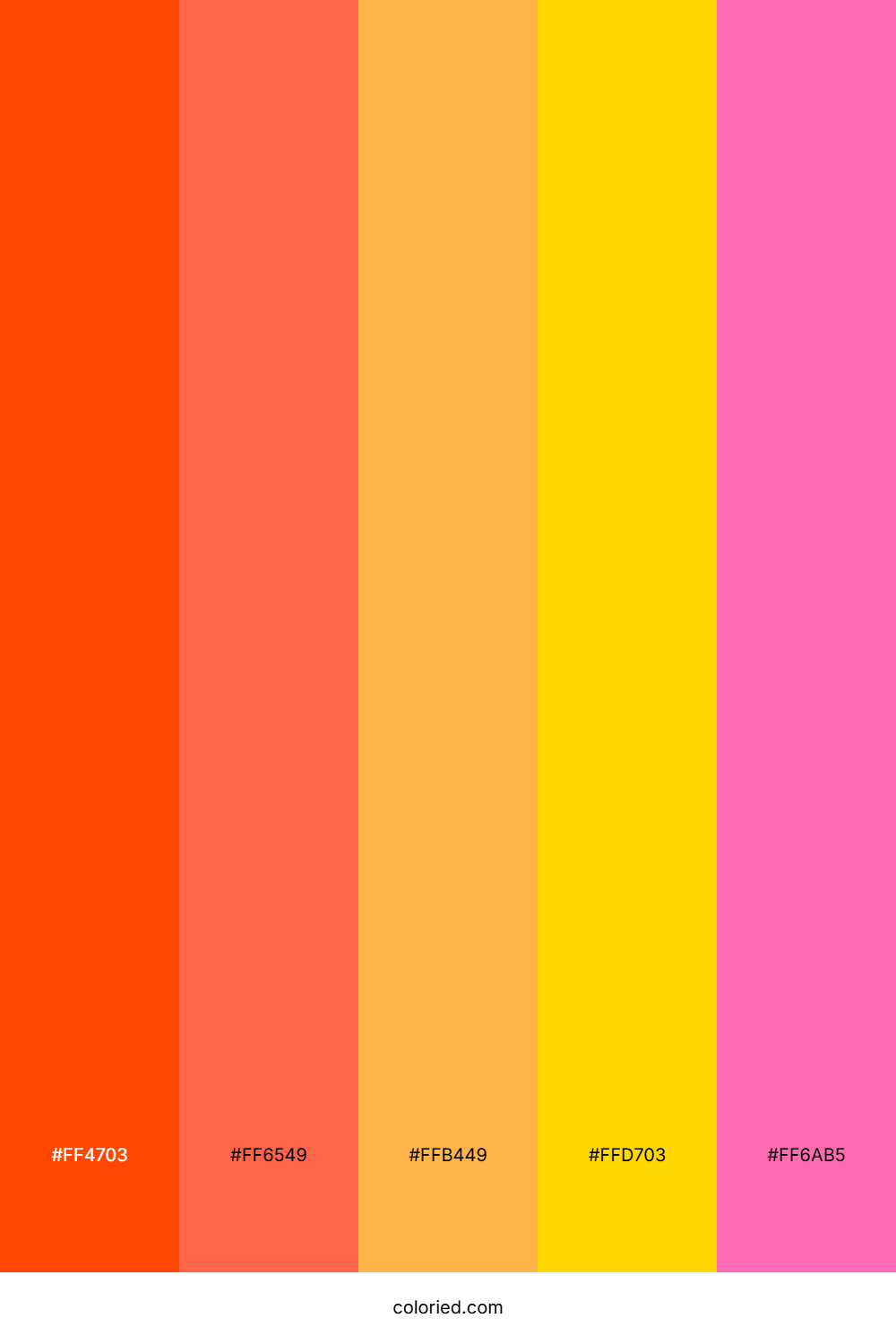 Sunset Color Palette