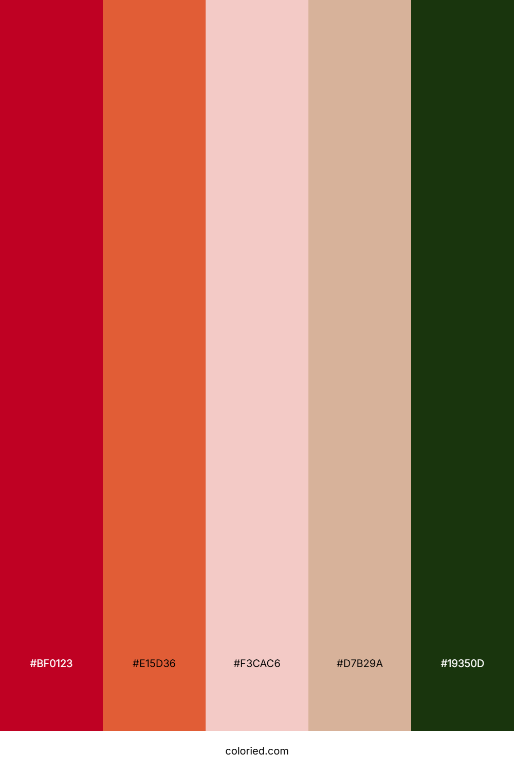 Sunset Coral Blush Palette
