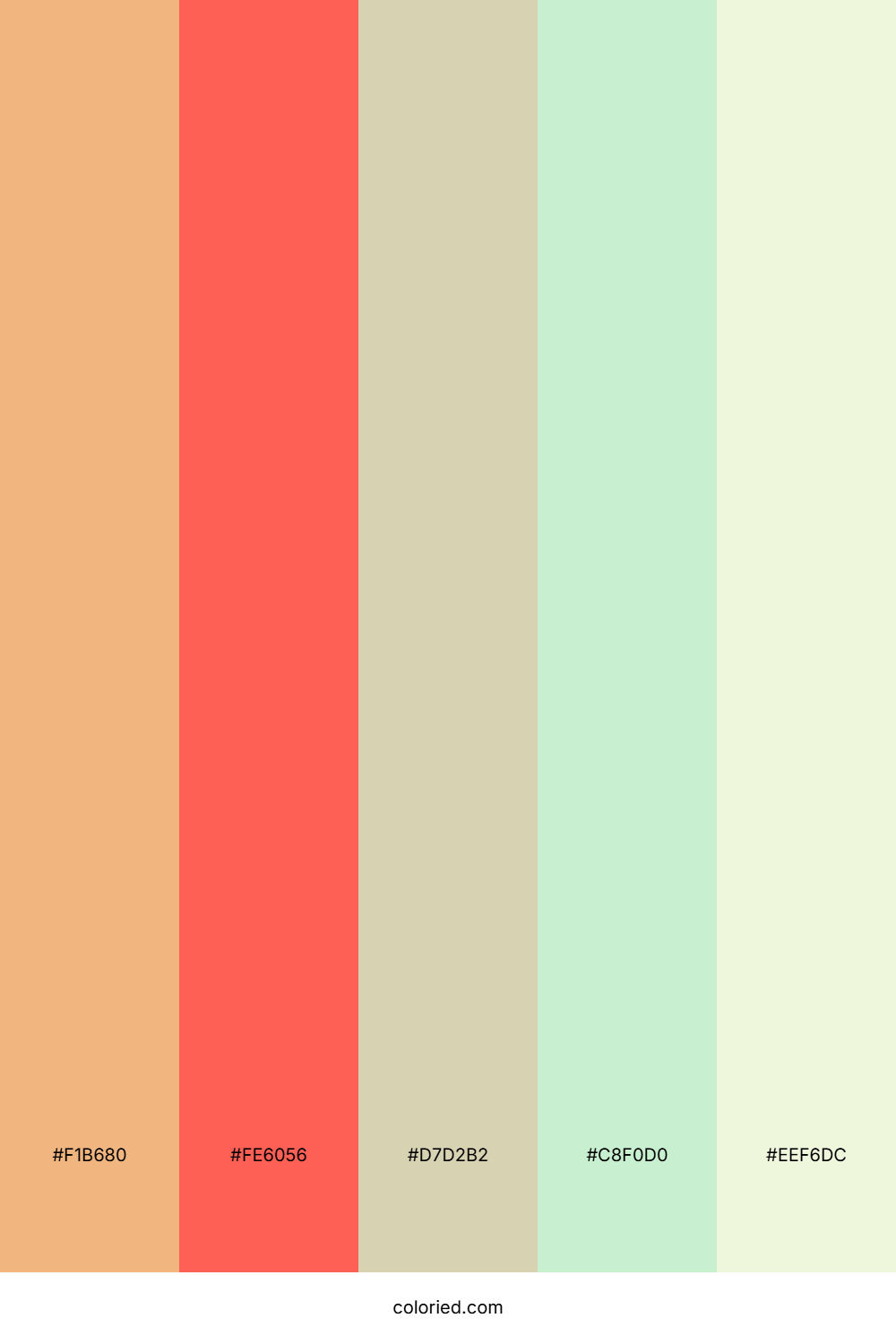 Sunset Coral Glow Color Palette