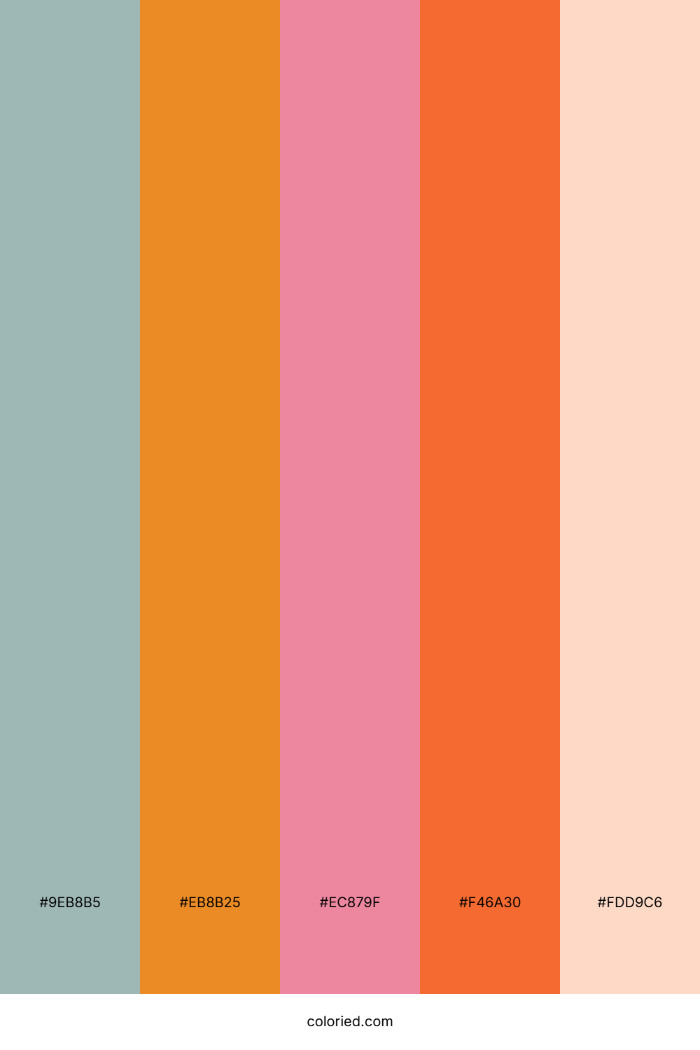 Sunset Coral Mix Color Palette