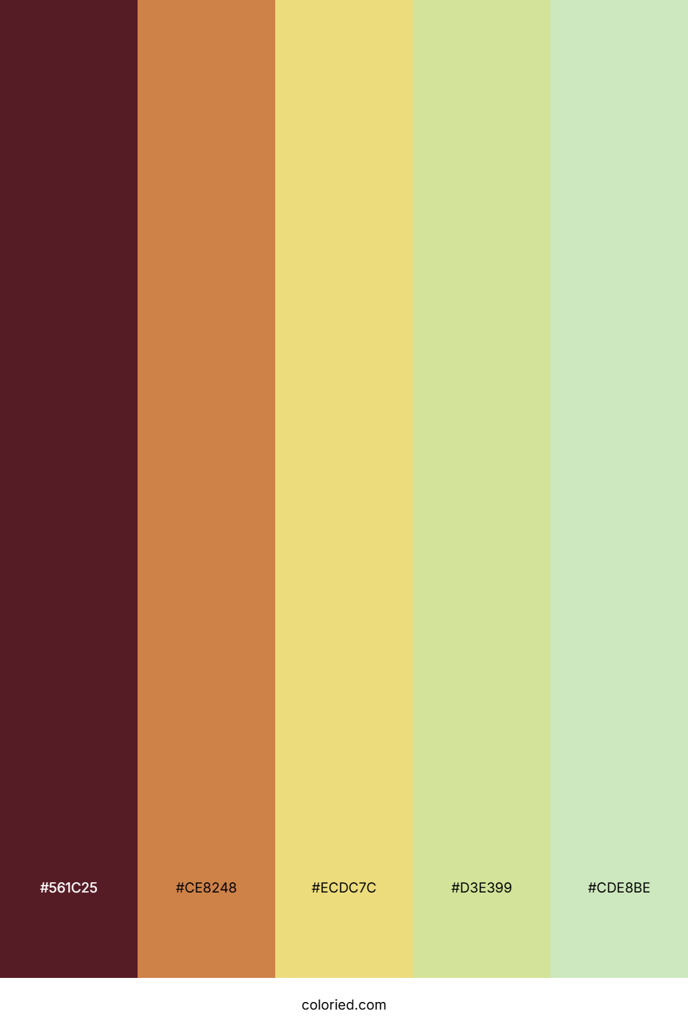 Sunset Coral Path Color Palette