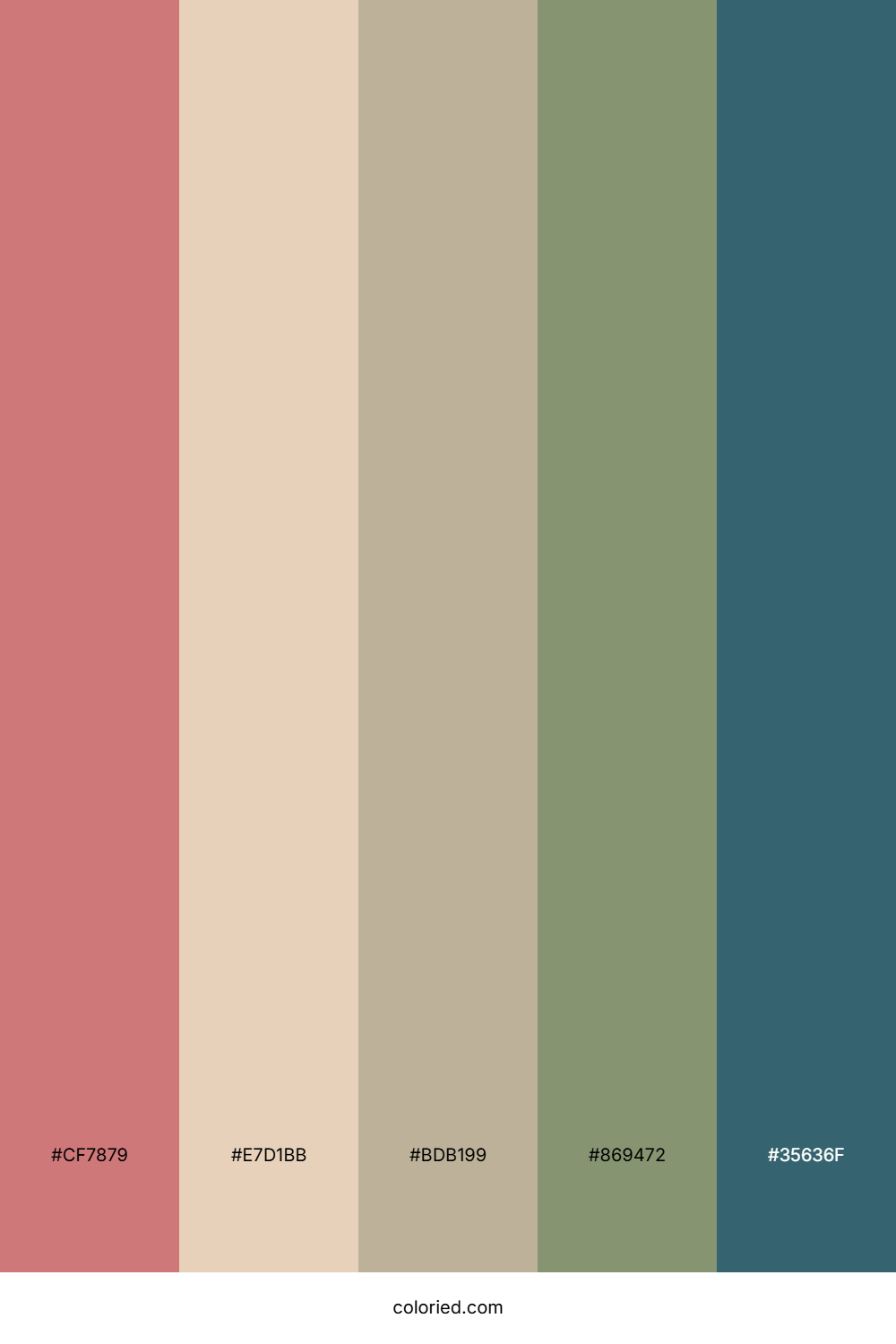Sunset Coral Tide Palette