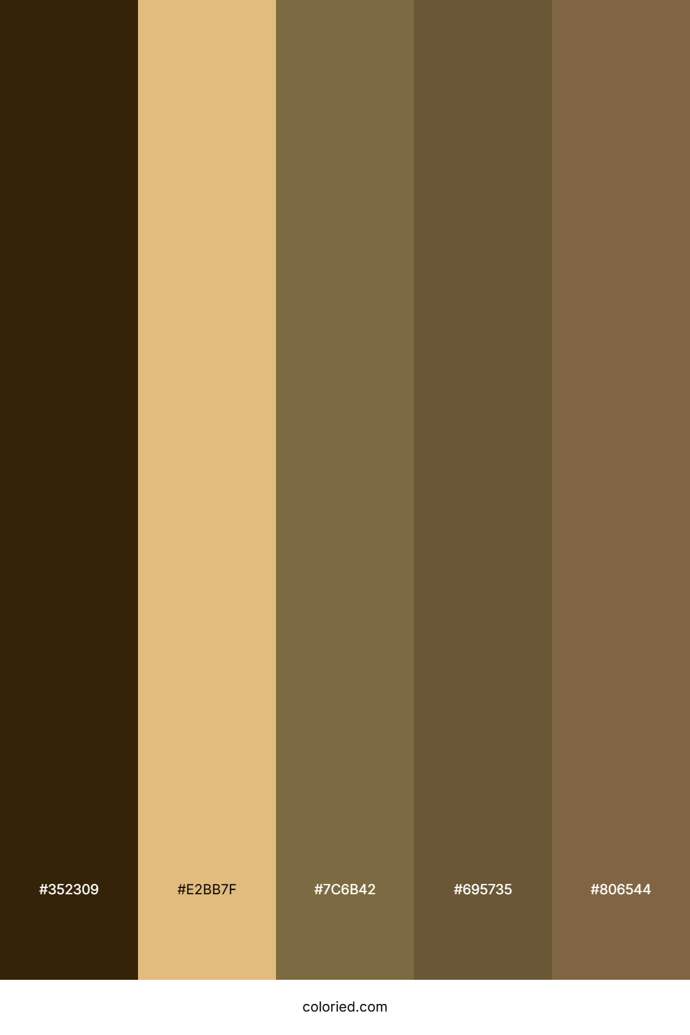 Sunset Desert Hearth Color Palette