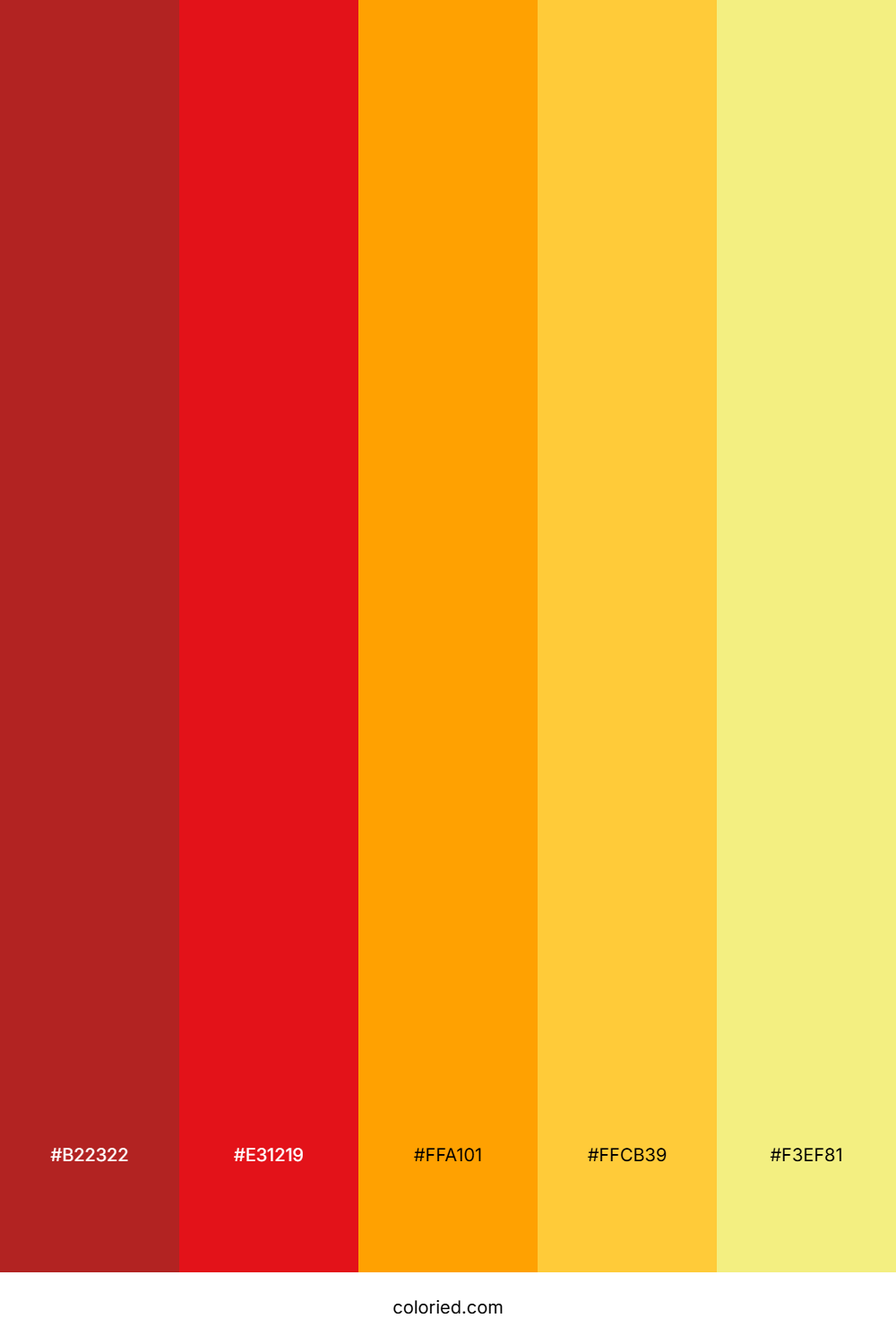 Sunset Flame Coral Color Palette