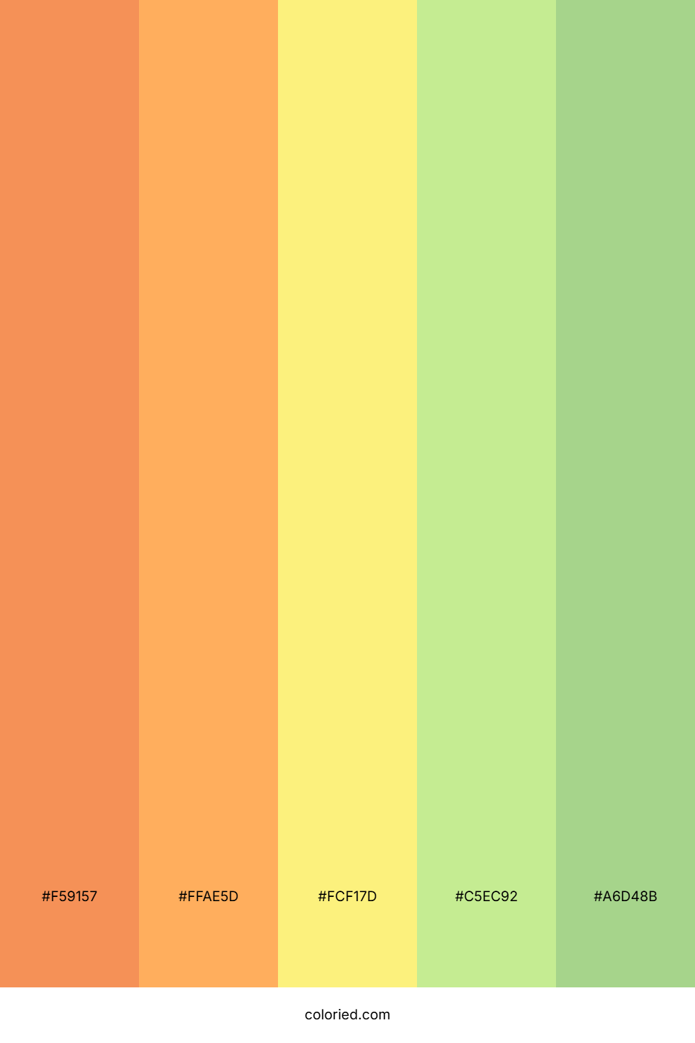 Sunset Over Coral Color Palette