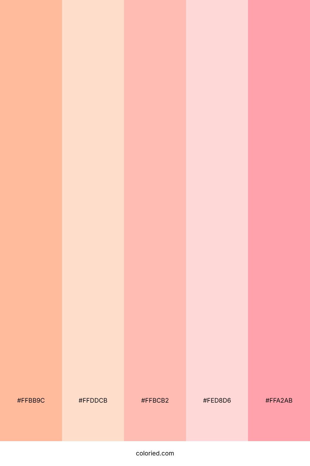 Sunset Petal Color Palette