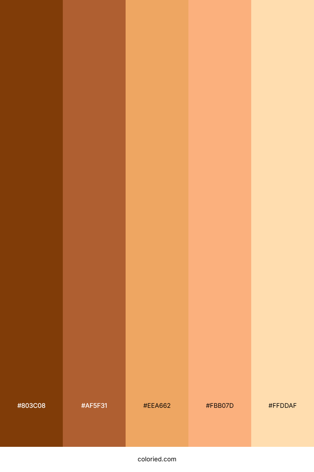 Sunset Terracotta Palette