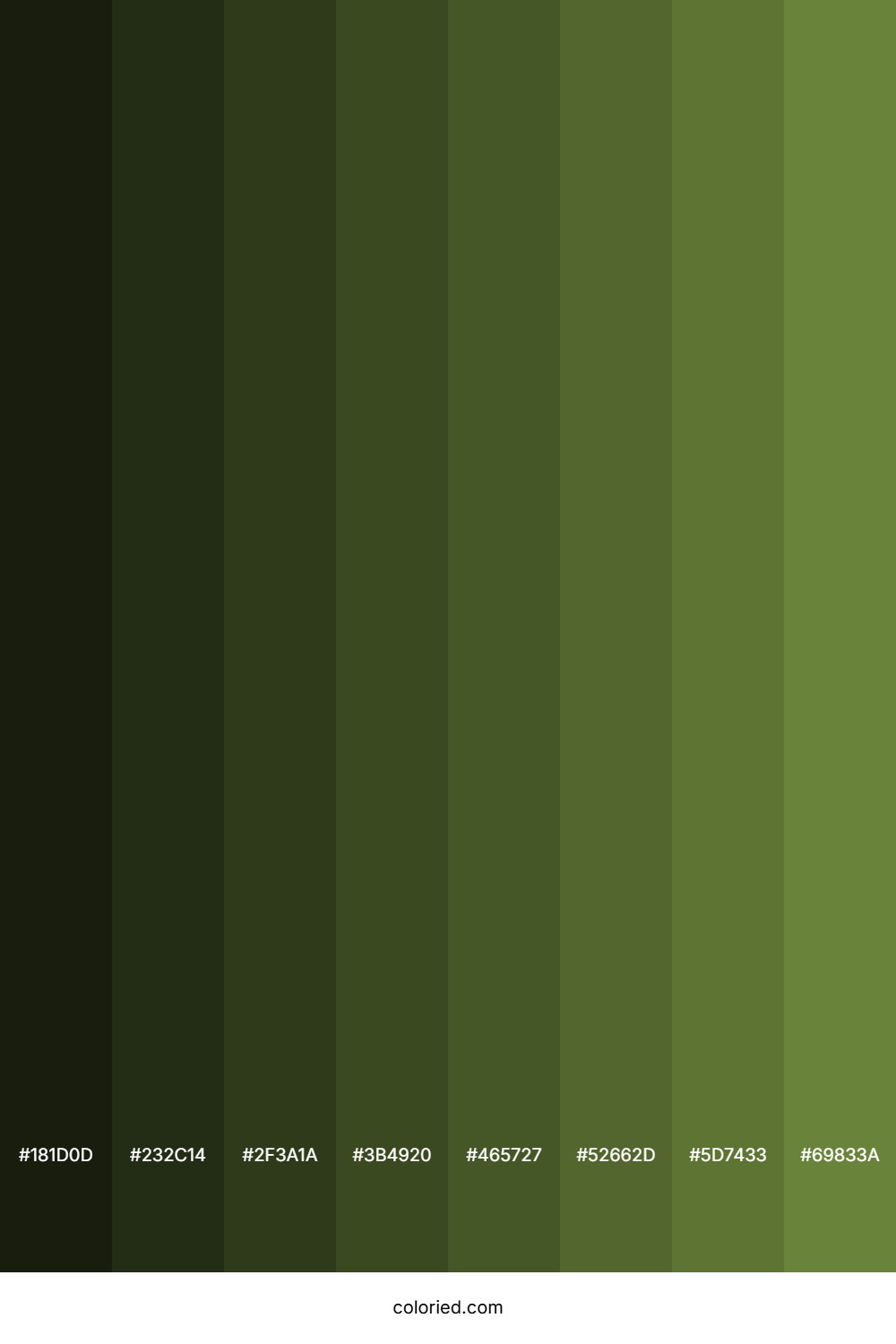 Swamp Color Shades