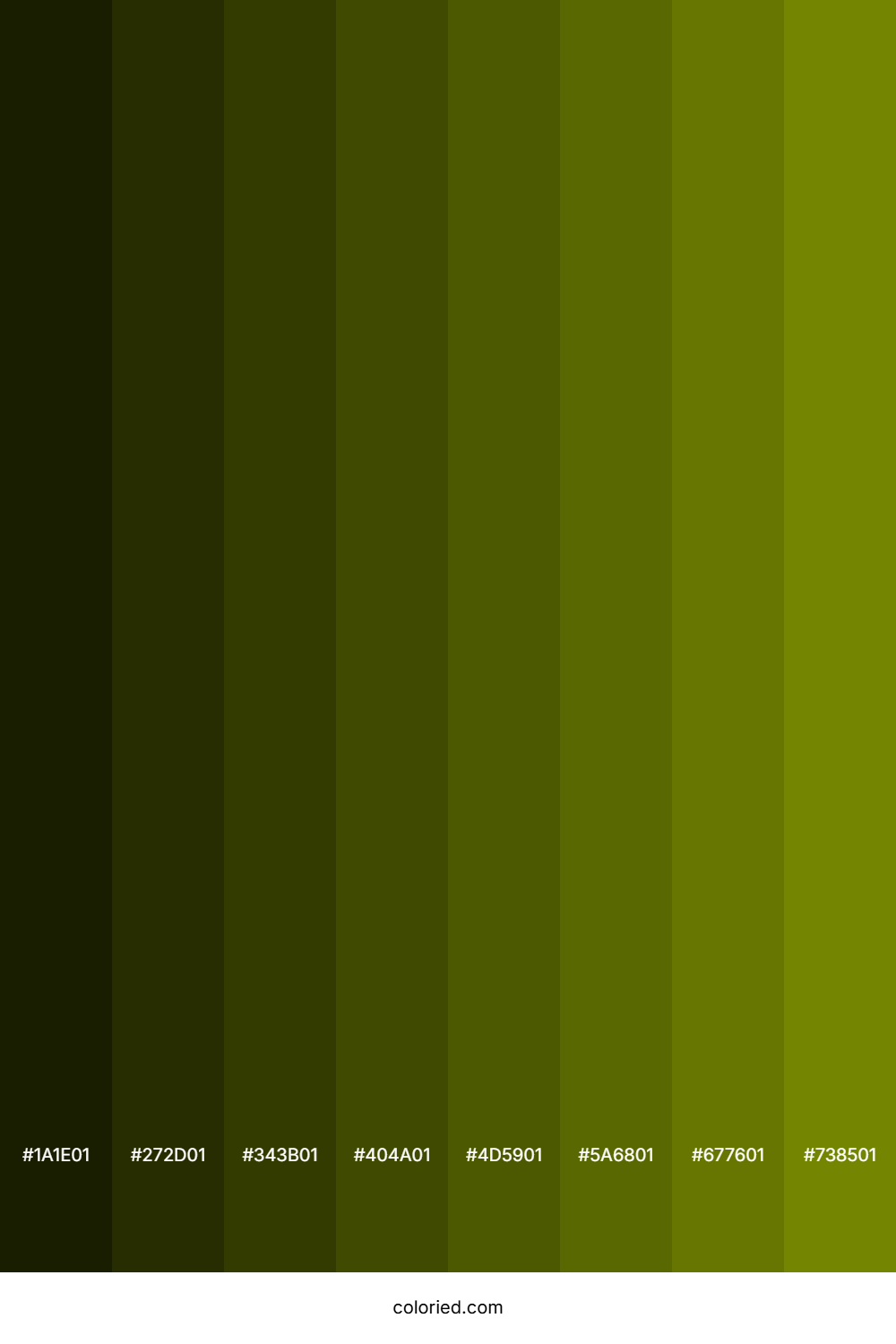 Swamp Green Color Shades