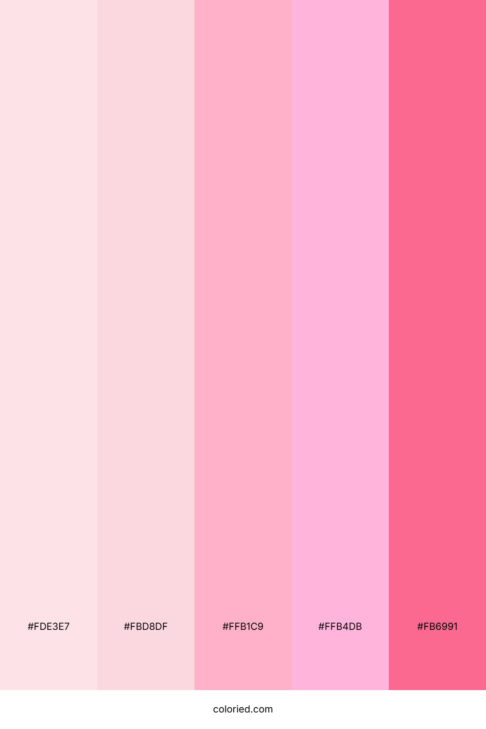 Sweet Pink Candy Color Palette