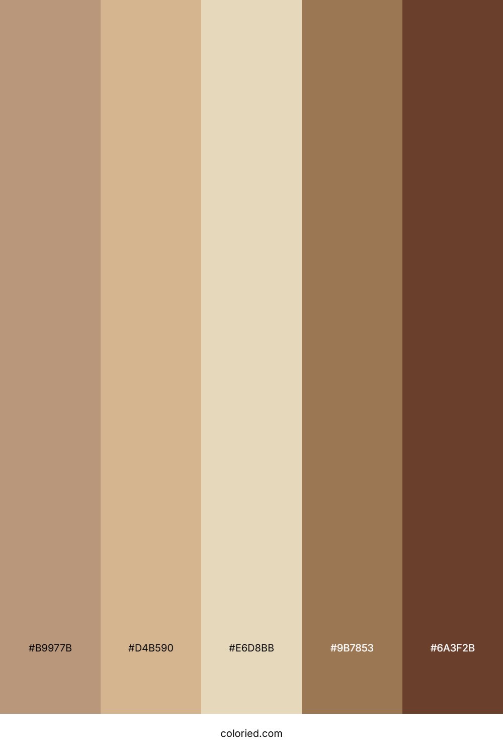 Tan and Brown Color Palette