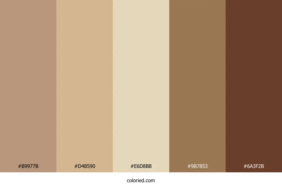 Tan and Brown Color Palette