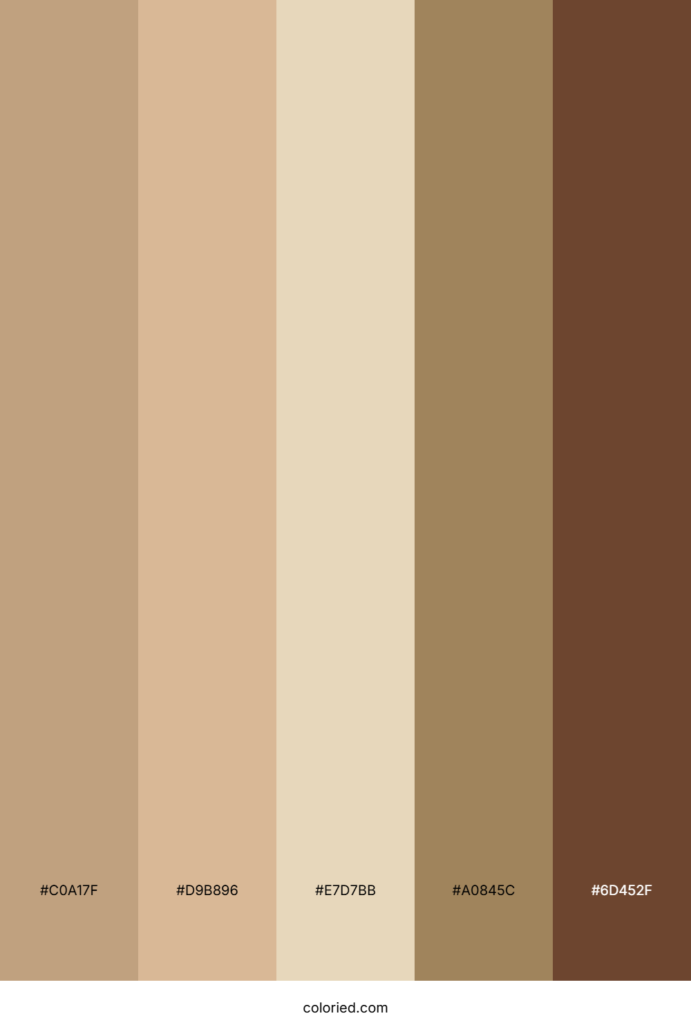 Tan and Chocolate Color Palette