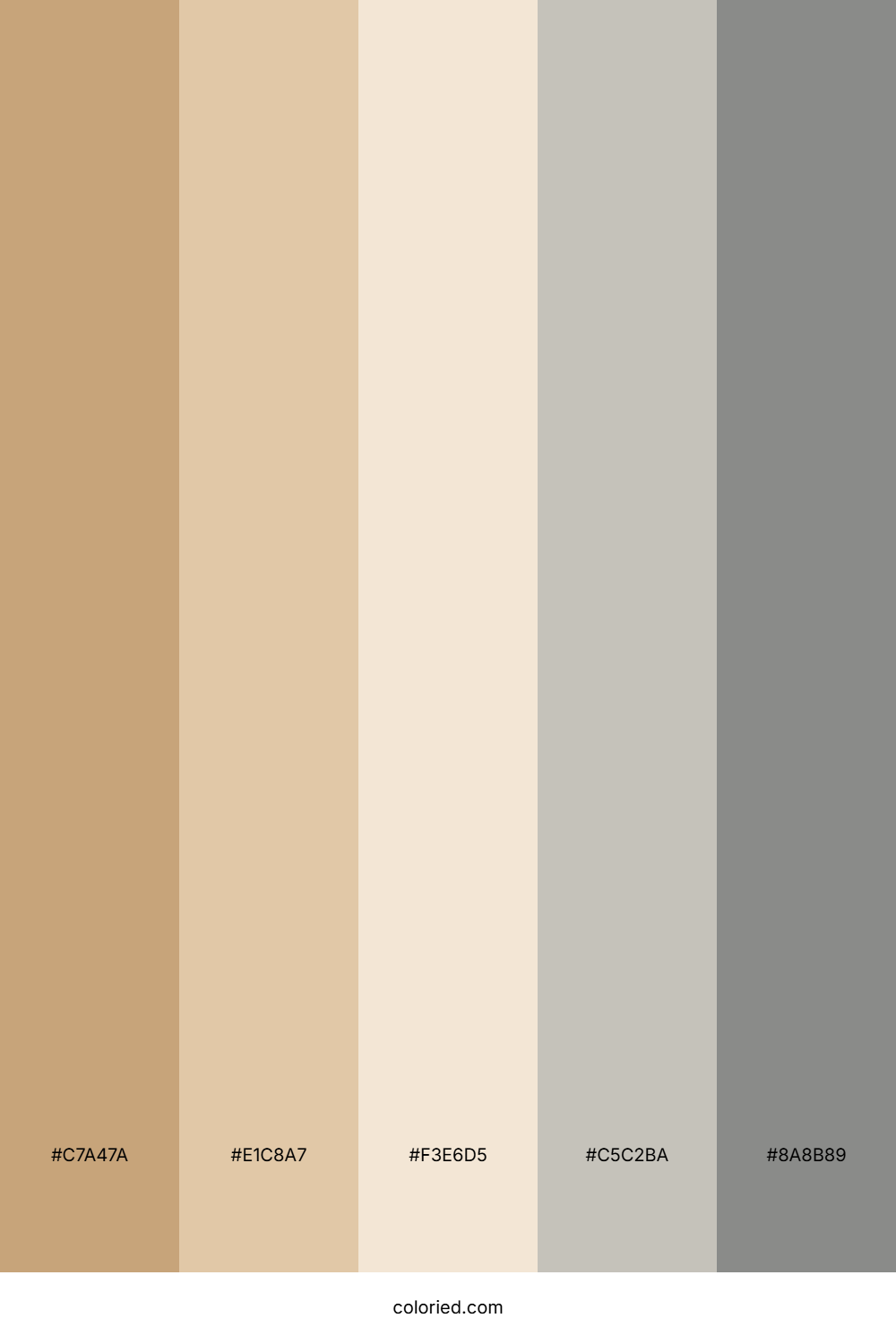 Tan and Grey Color Palette