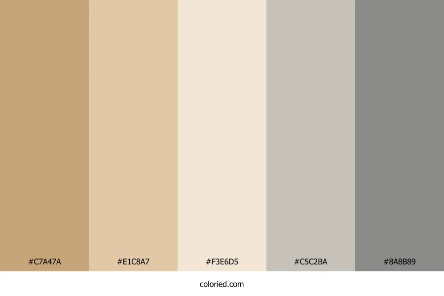 Tan and Grey Color Palette