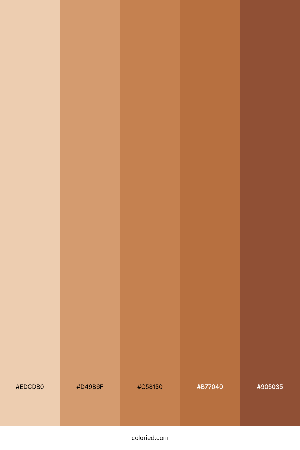 Tan and Warm Brown Color Palette